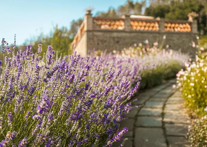 Casupoli Кастильон-Фьорентино