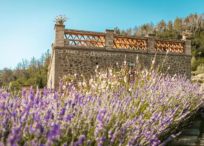 Вилла Casupoli Кастильон-Фьорентино